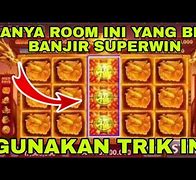 Room Duofu Full Burung Hari Ini